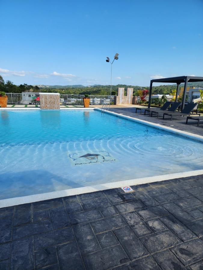 Pyramid Joy, 2 Bedroom Villa, Ocho Rios, Jamaica エクステリア 写真